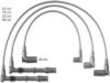 BERU ZEF1172 Ignition Cable Kit